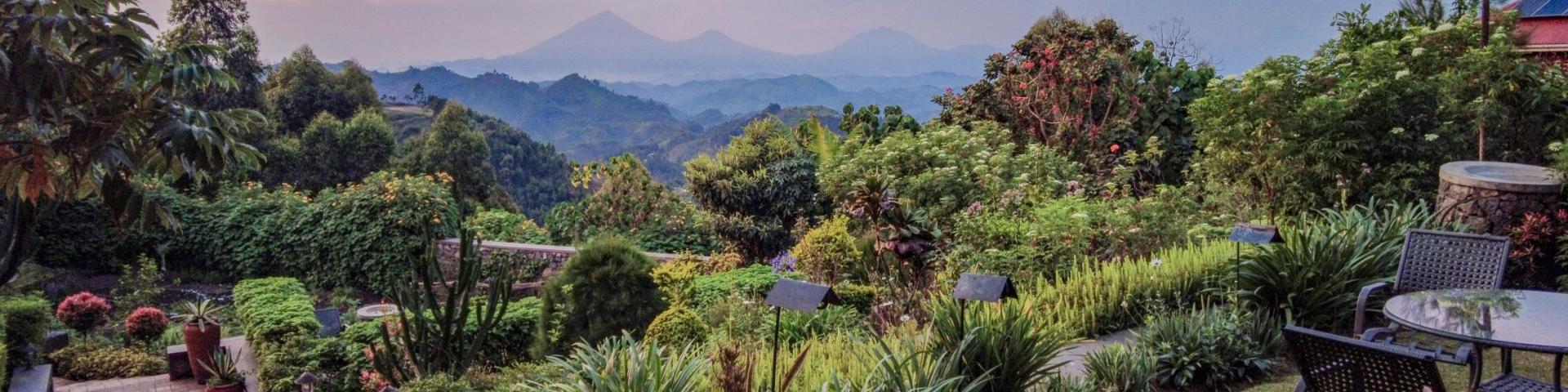 Nkuringo Gorilla Lodge – Luksusowy Eko-Lodż nad Lasem Bwindi w Ugandzie